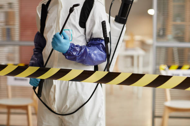 Professional Hoarding Cleanup technician working in Kent, OH